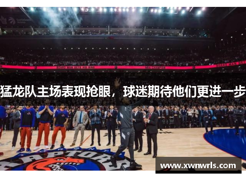 猛龙队主场表现抢眼，球迷期待他们更进一步